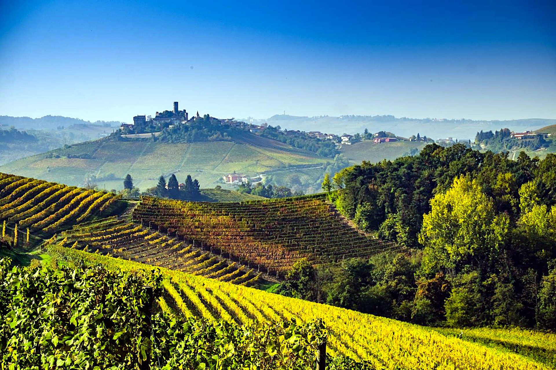 Colline di vigneti dorati del Monferrato in autunno, con un borgo e un castello all'orizzonte