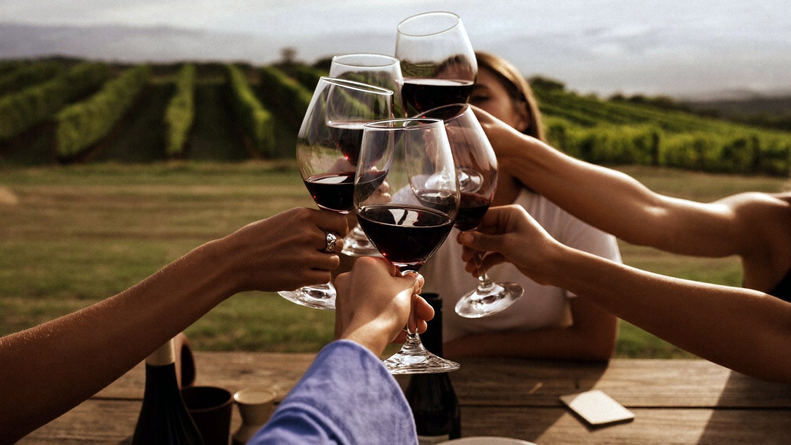 Friends toasting among the Monferrato vineyards