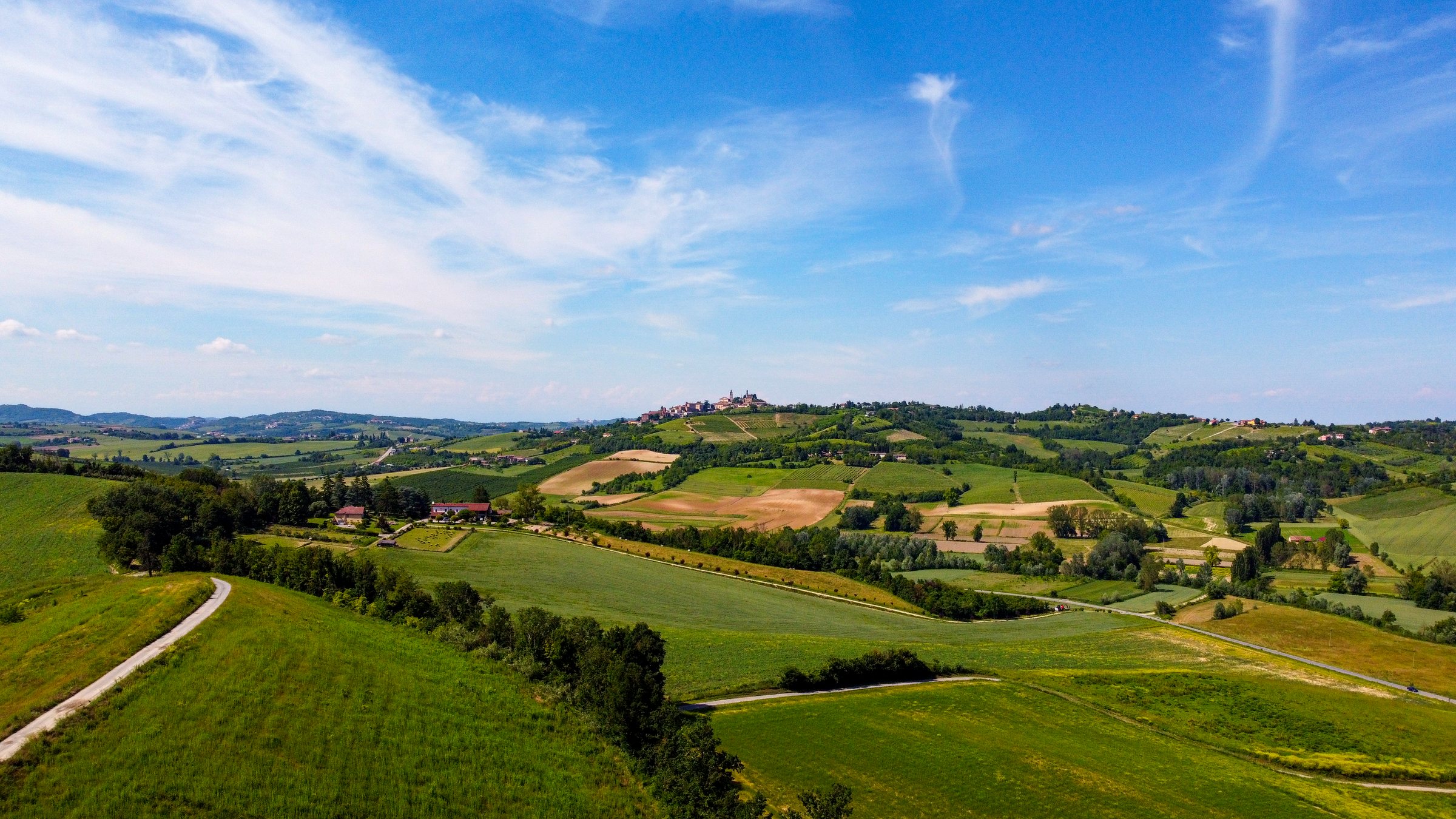 Panorama delle colline vitate del Monferrato con filari e cascine