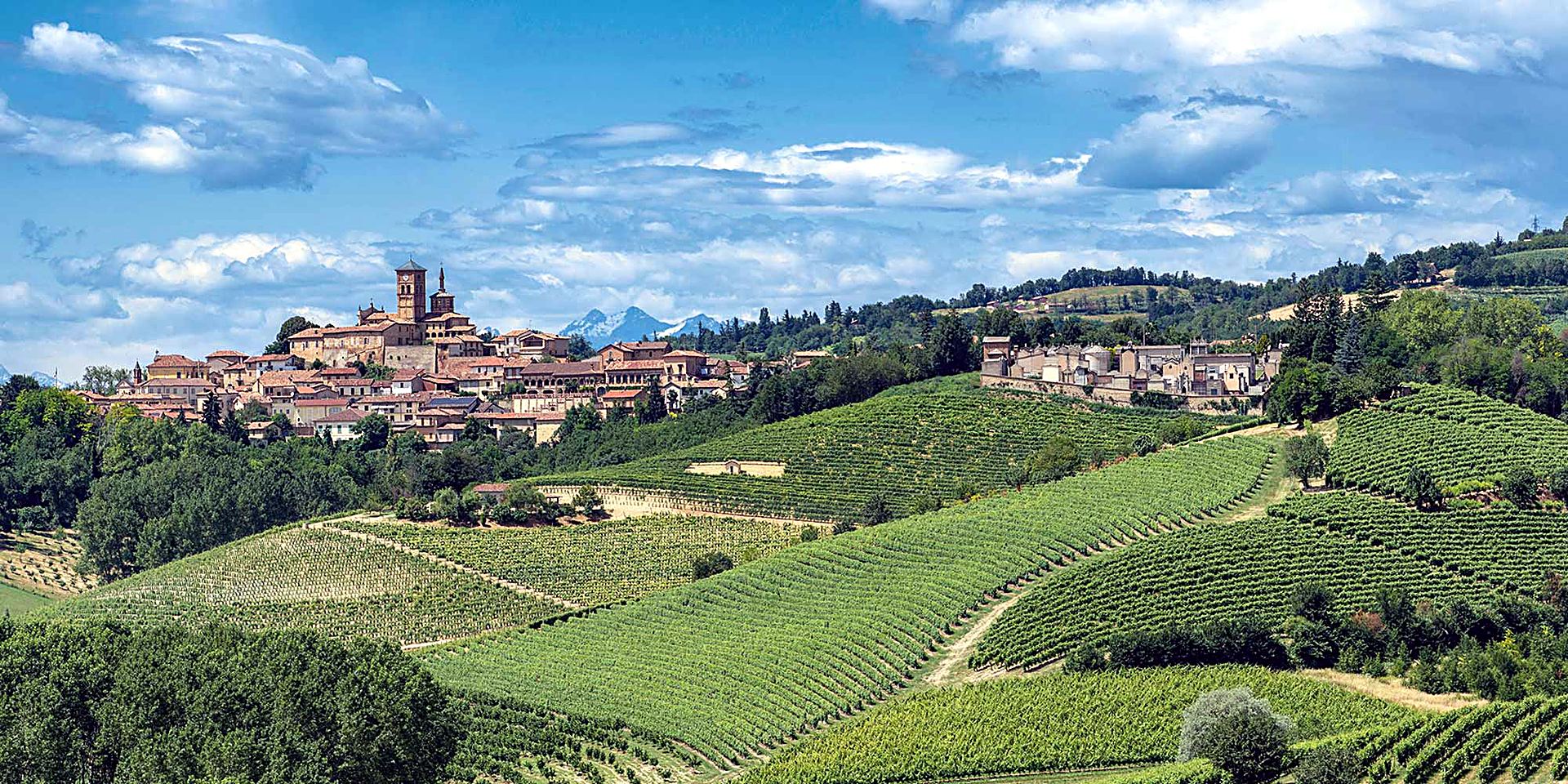 View of the Monferrato vineyard hills with rows and farmhouses